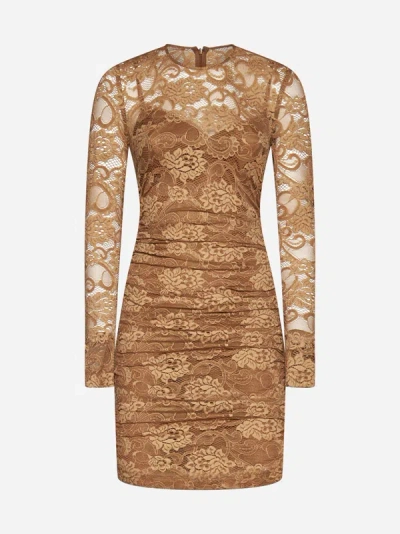 Shop Dolce & Gabbana Lace Dress In Light Brown