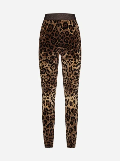 Shop Dolce & Gabbana Leopard Print Leggings