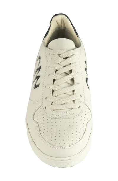 Shop Sandro Moscoloni Marlin Sneaker In White Black