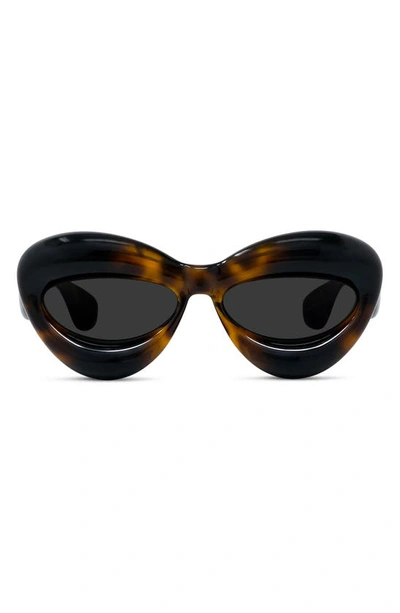 Shop Loewe 55mm Cat Eye Sunglasses In Dark Havana / Smoke