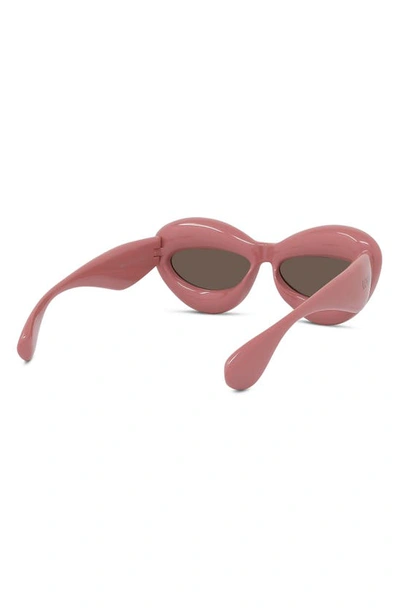 Shop Loewe 55mm Cat Eye Sunglasses In Shiny Pink / Brown