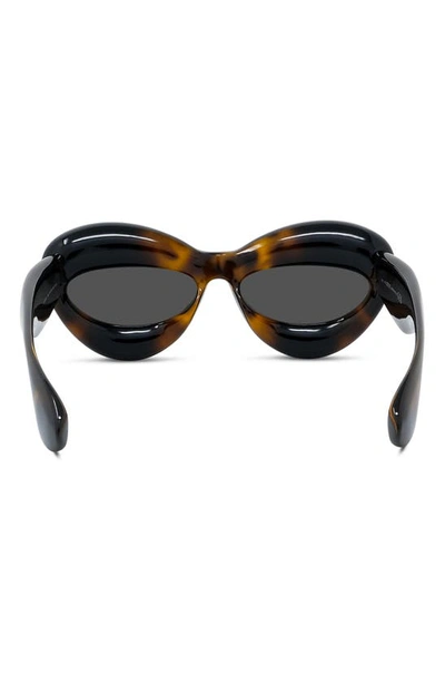 Shop Loewe 55mm Cat Eye Sunglasses In Dark Havana / Smoke