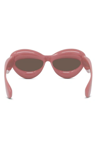 Shop Loewe 55mm Cat Eye Sunglasses In Shiny Pink / Brown