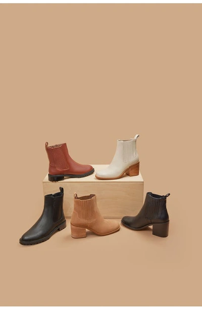 Shop Linea Paolo Spencer Chelsea Boot In Mushroom