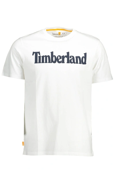 Shop Timberland White Cotton Men's T-shirt