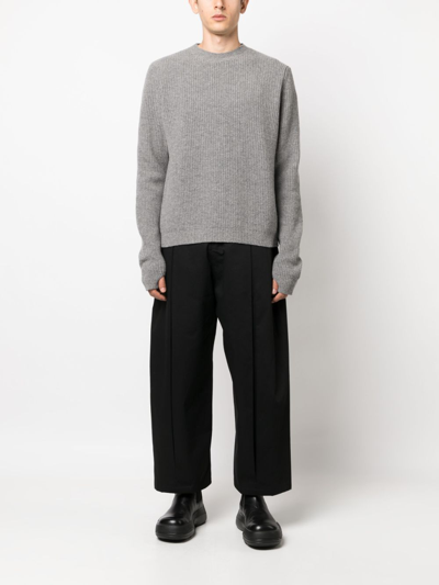 Sage Nation Box-pleat Wide-leg Trousers In Black