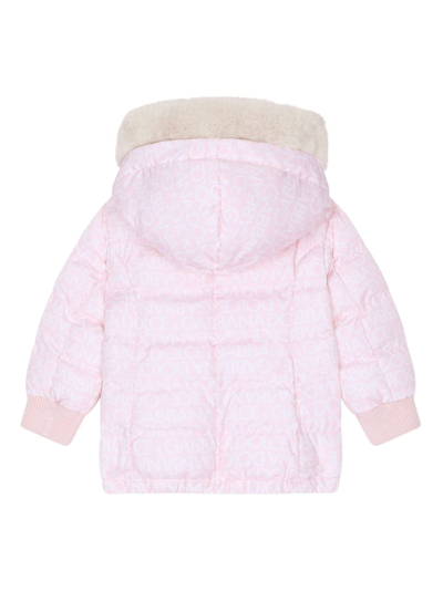 Dolce & Gabbana Panelled-design Hooded Jacket In Pink
