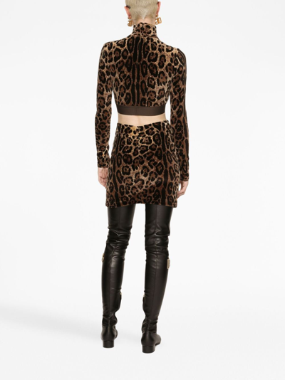 Shop Dolce & Gabbana Leopard-print High-neck Blouse In Brown