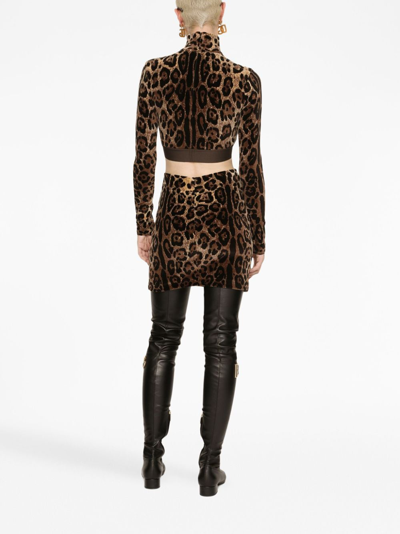 Dolce & Gabbana Leopard-print High-neck Blouse In Brown