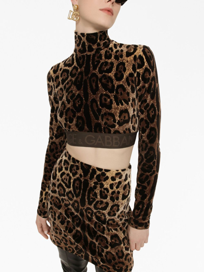 Shop Dolce & Gabbana Leopard-print High-neck Blouse In Brown