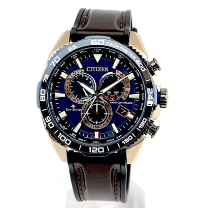 Pre-owned Citizen Promaster Land Chronograph Sapphire Crystal World Time Watch Cb5039-11l