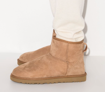 Pre-owned Ugg Boots Classic Mini Boot Shearling Chestnut Suede Boots Shoes 43 In Brown
