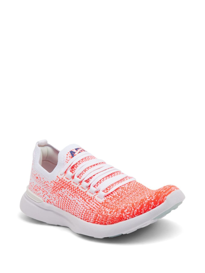 Shop Apl Athletic Propulsion Labs Techloom Breeze Mesh-panelling Sneakers In Weiss