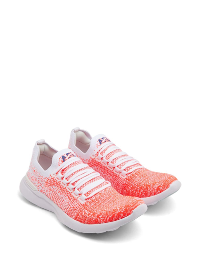 Shop Apl Athletic Propulsion Labs Techloom Breeze Mesh-panelling Sneakers In Weiss