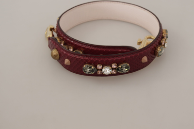 Shop Dolce & Gabbana Elegant Python Leather Bag Strap In Women's Bordeaux