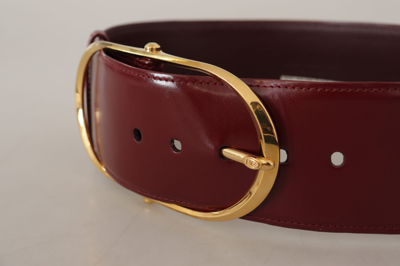 Shop Dolce & Gabbana Engraved Logo Maroon Leather Women's Belt
