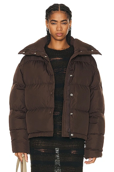 Shop Acne Studios Puffer Jacket In Coffee Brown