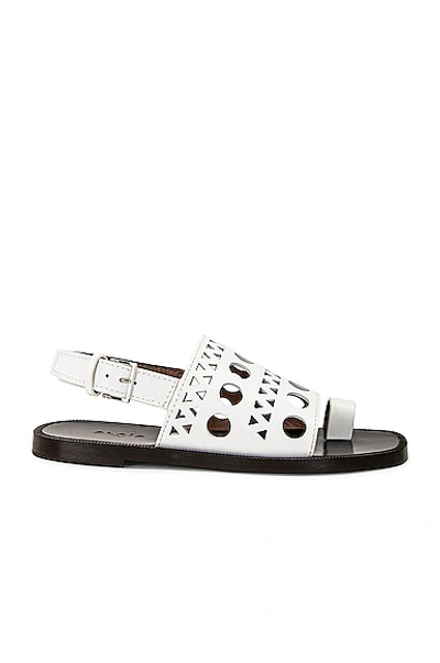 Shop Alaïa Perforated Flat Sandal In Blanc Casse