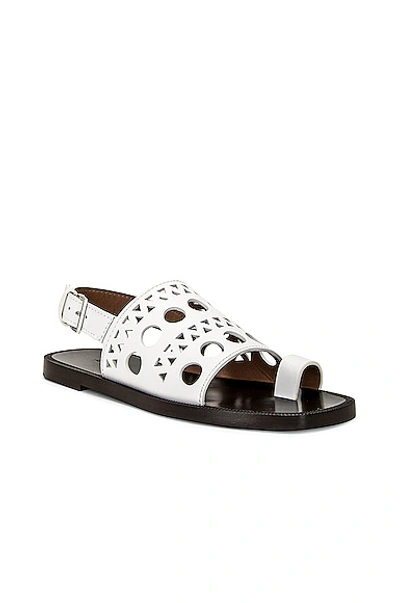 Alaïa Perforated Flat Sandal In Blanc Casse