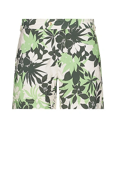 Shop Tom Ford Tropical Swim Short In New Tropical Flower Green On Cream