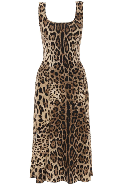 Shop Dolce & Gabbana Leopard Print Jersey Midi Dress In Beige