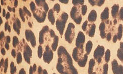 Shop Valentino Leopard Print Single Breasted Virgin Wool & Silk Blazer In Animalier