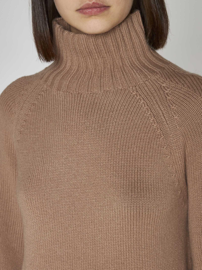 Shop 's Max Mara Mantova Wool And Cashmere Sweater In Brown