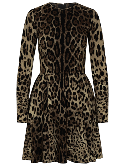 Shop Dolce & Gabbana Woman  Black Nylon One-piece Swimsuit In Brown