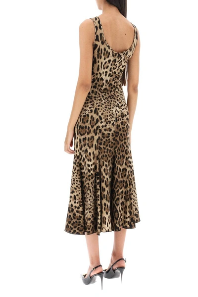 Shop Dolce & Gabbana Leopard Print Jersey Midi Dress In Beige