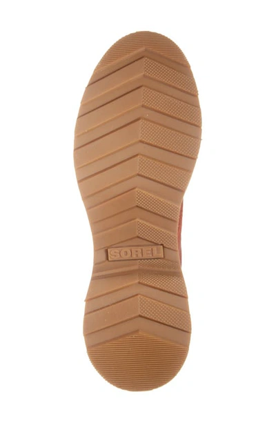 Shop Sorel Hi-line Waterproof Lace-up Boot In Warp Red/ Tawny Buff