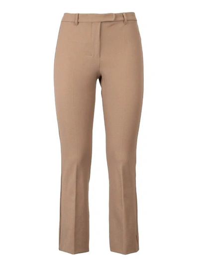 Shop 's Max Mara Umanita Cotton Blend Trousers In Camel