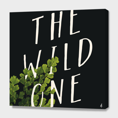 Curioos The Wild One