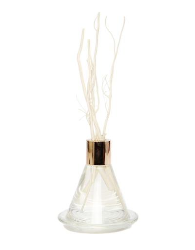 Shop Vivience Clear Cone Shaped Reed Diffuser With Tray, "zen Tea" Scent