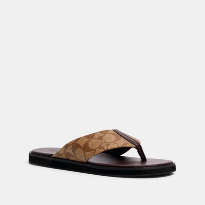 Shop Coach Outlet Flip Flop In Signature Canvas In Brown