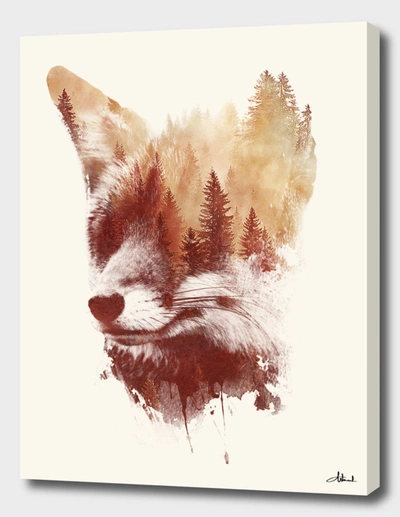 CURIOOS BLIND FOX 