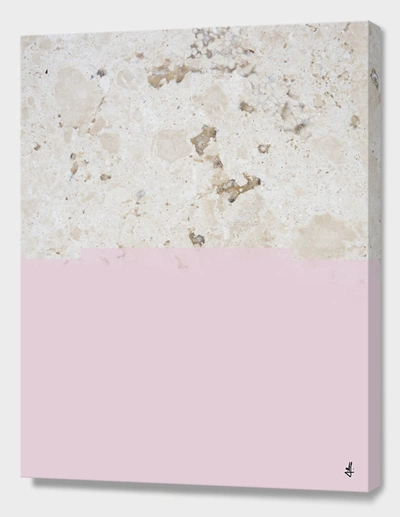 CURIOOS REDUX V 