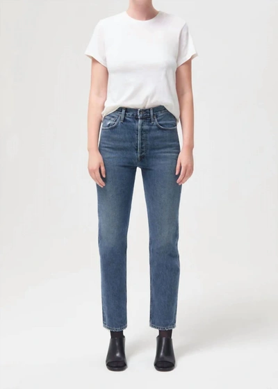 Shop Agolde 90's Pinch Waist High Rise Straight Jean In Portrait In Multi