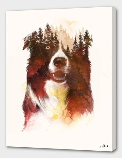 Curioos One Night In The Forest