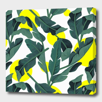 Curioos Tropical '17 - Fresh