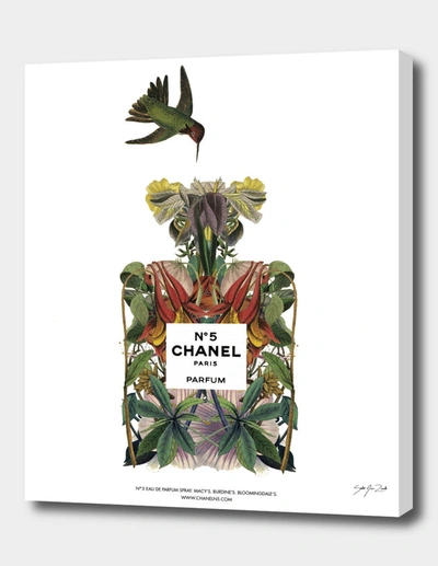 CURIOOS CHANEL NO. 5 