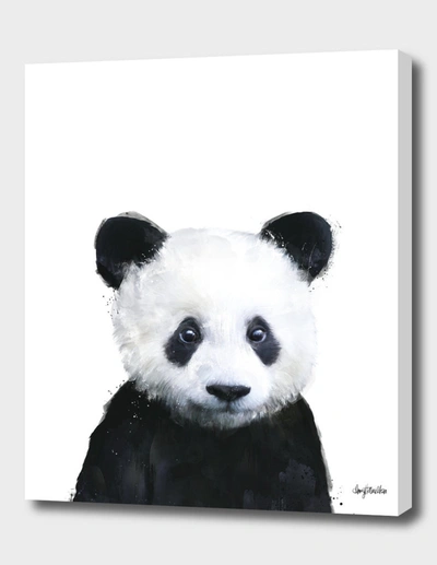 CURIOOS LITTLE PANDA 