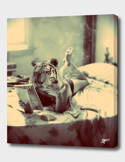 Curioos Fashionista