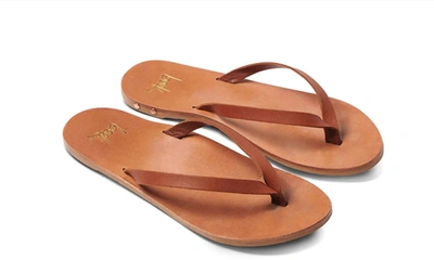 Shop Beek Seabird Thong Sandal In Tan/tan In Multi
