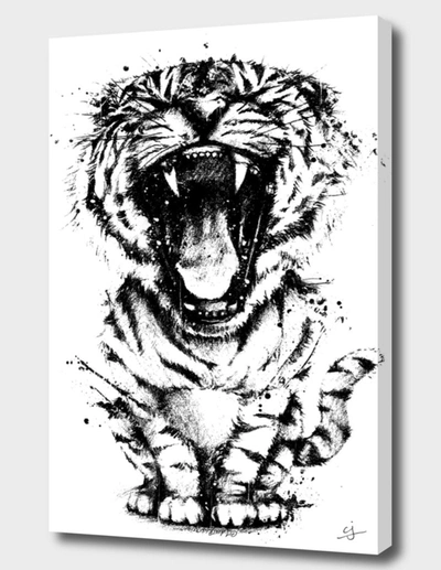 Curioos Meowr In Black