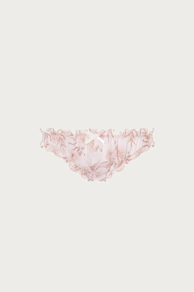 Shop Adete Gardenia Brief In Summer Faded Floral In Pink