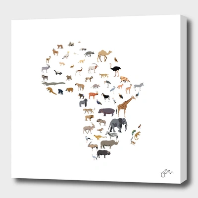 Curioos Wild Africa