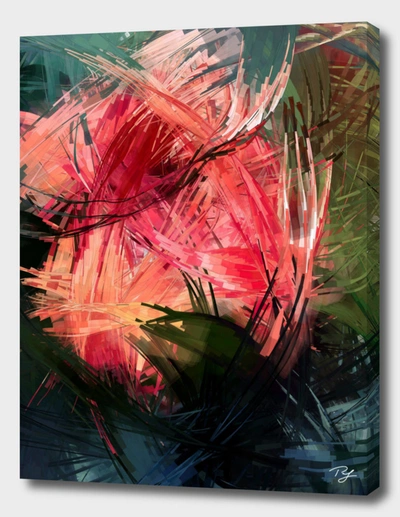 Curioos The New Blog