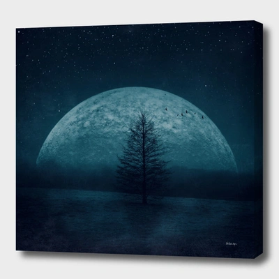 Curioos Moon Twilight