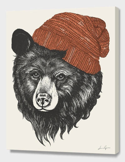 CURIOOS ZISSOU THE BEAR 