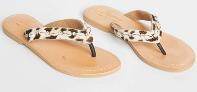 Shop Skemo Savannah Shell Embellished Leather Sandals In Multi In White